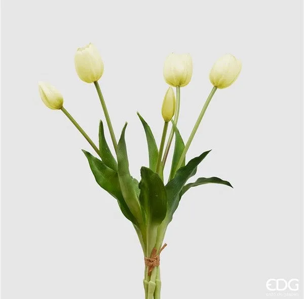 EDG Enzo De Gasperi Bouquet de 5 Tulipes Olis Ass. H 40 cm Ivoire 1 pi