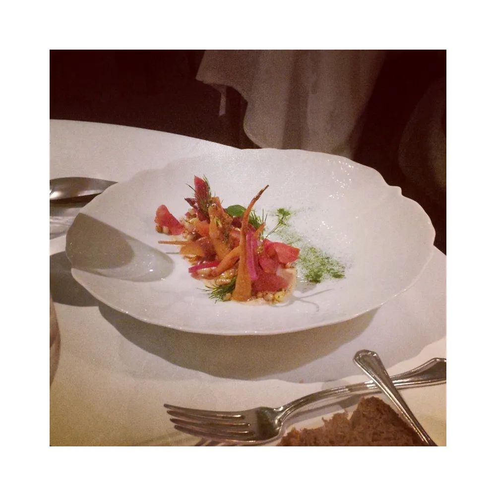 6 assiettes Salade porcelaine Jacques Pergay - 2 tailles