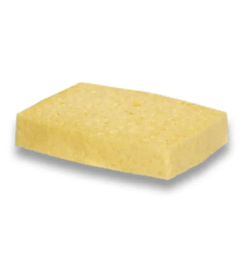 Éponges Végétales Bordées