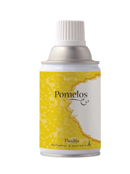 AEROSOL POUR DIFFUSEUR EASY SPRAY - 250 mL - Parfums au choix