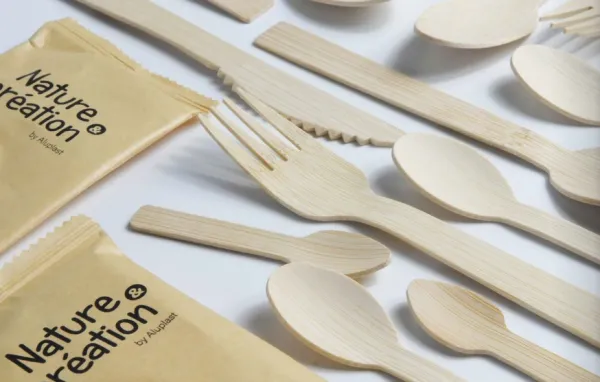 Couverts en bois Carton de 1000 - Au choix