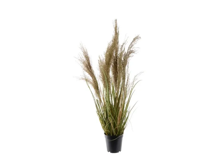Herbe artificielle en bouquet - Jardideco