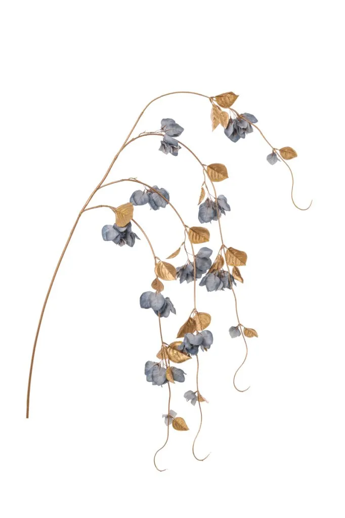 ARPIMEX Bougainvillea Vine H 155 Cm Blue