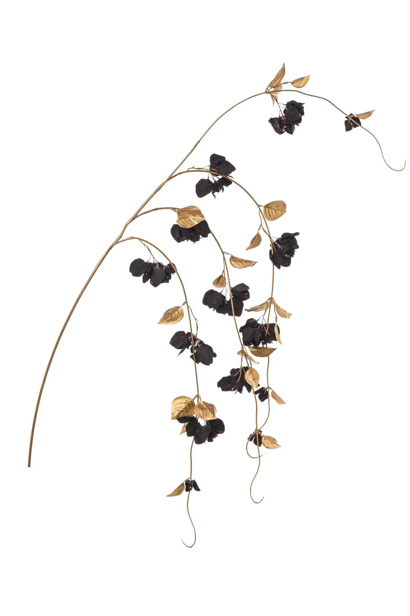 ARPIMEX Bougainvillea Shoot H 155 Cm Black