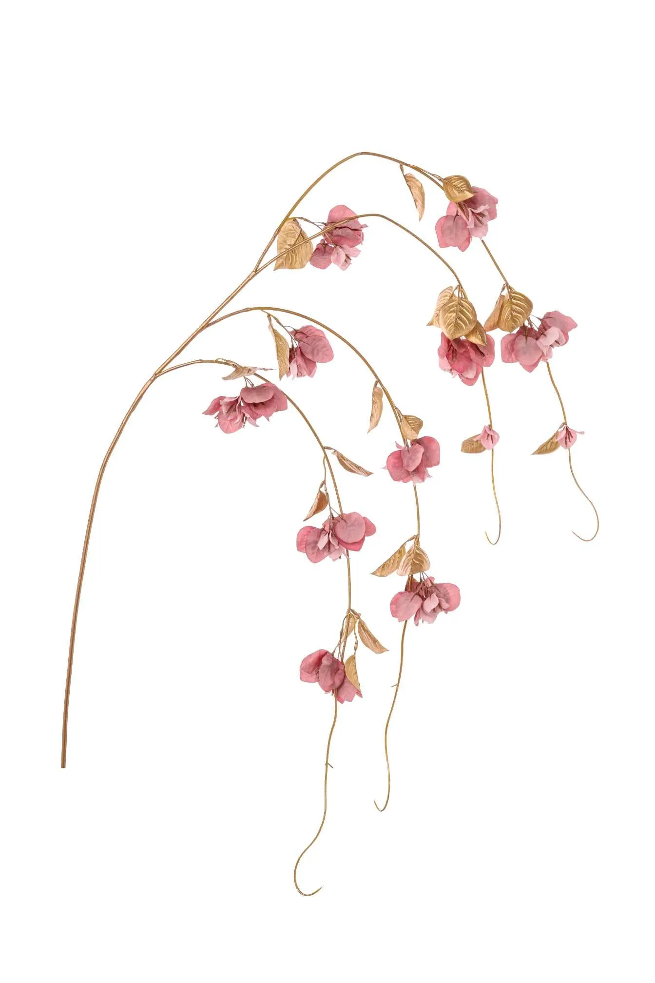 ARPIMEX Bougainvillea Shoot H 155 Cm Pink