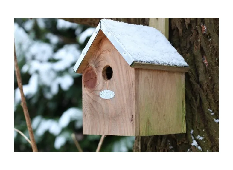 Nichoir mésange bleu pour oiseaux - Esschert Design