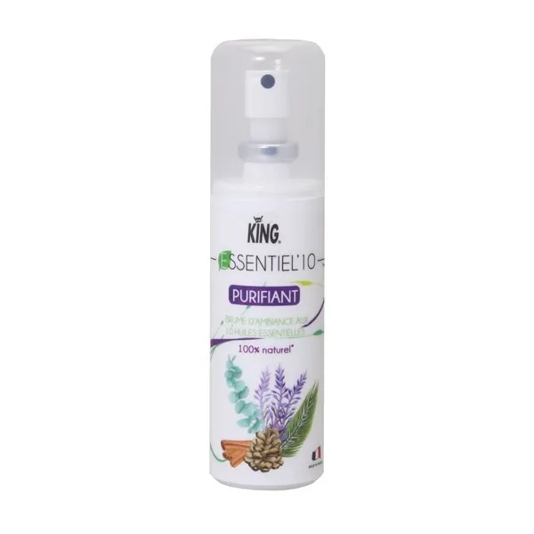 P00367 - Huiles essentielles 10 Purifiant Ecocert 100cc KING