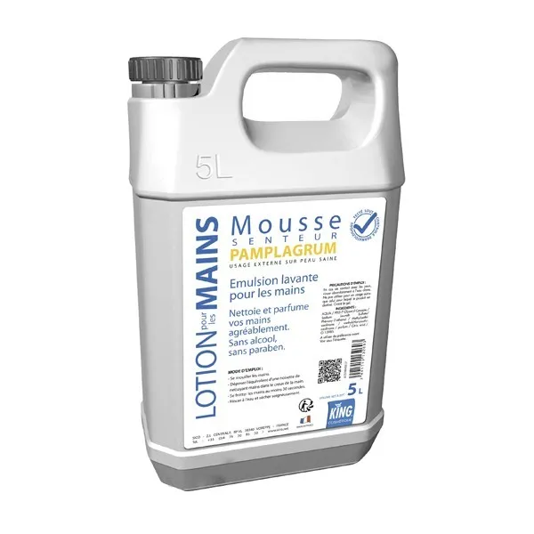 P00387 - Nettoyant mains mousse Pamplagrum 5L KING