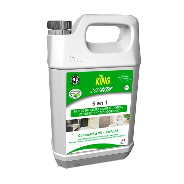 P01337 - Eco Actif 5 en 1 Acide lactique Menthe 2% 5L KING