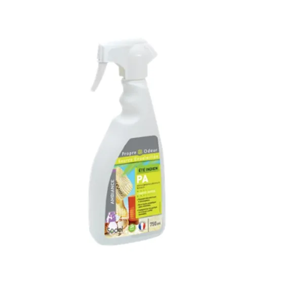 SP SURODORANT ETE INDIEN PROPRE ODEUR