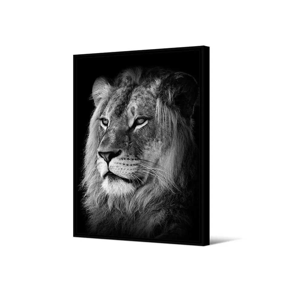 Toile encadrée Lion Pôdevache 80x120cm noir et blanc