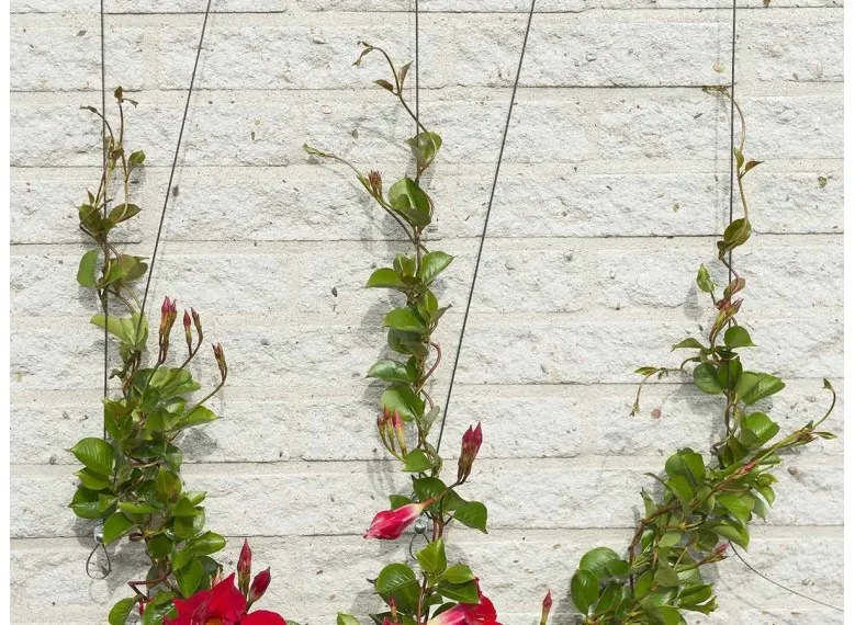 Treillis invisible personnalisable - Nature