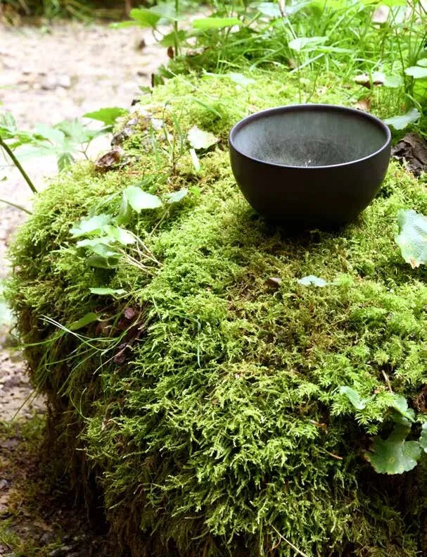 Bol M TOURRON ECORCE